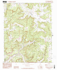 Delgadita Mesa 1985 topographic map thumbnail