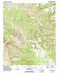 Dorsey Ranch 1992 topographic map thumbnail