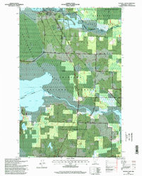 Federal Dam 1996 topographic map thumbnail