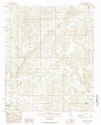 Flying H NE 1989 topographic map thumbnail