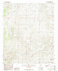 Flying H NW 1989 topographic map thumbnail