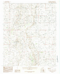 Hackberry Lake 1985 topographic map thumbnail