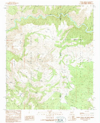 Harden Cienega 1989 topographic map thumbnail