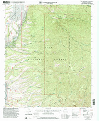 Holt Mountain 1999 topographic map thumbnail