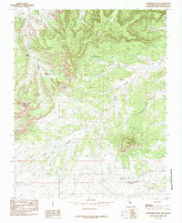 Huerfanito Peak 1985 topographic map thumbnail