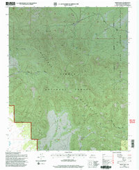 Indian Mesa 1995 topographic map thumbnail