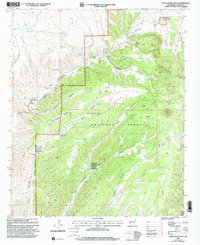 Indian Peaks West 1999 topographic map thumbnail