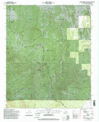 Indian Spring Canyon 1995 topographic map thumbnail