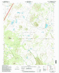Laguna Canoneros 1995 topographic map thumbnail