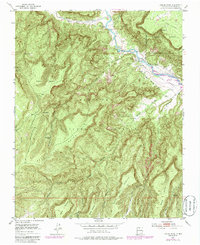 Laguna Peak 1953 topographic map thumbnail