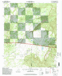 Laguna Seca 1995 topographic map thumbnail
