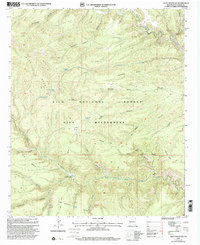 Lilley Mountain 1999 topographic map thumbnail