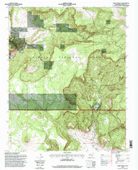 Lobo Springs 1995 topographic map thumbnail