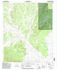 Log Canyon 1995 topographic map thumbnail