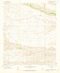 Skute Stone Arroyo 1961 topographic map thumbnail