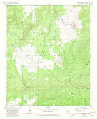 Slaughter Mesa 1981 topographic map thumbnail