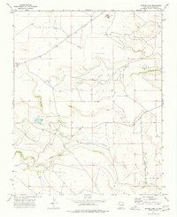 Snyder Lake 1973 topographic map thumbnail