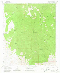 South Baldy 1965 topographic map thumbnail
