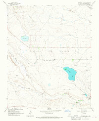 Springer Lake 1965 topographic map thumbnail