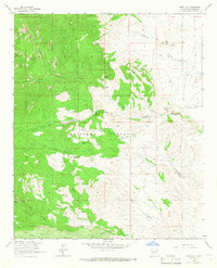 Steel Hill 1964 topographic map thumbnail