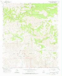 Surveyors Canyon 1965 topographic map thumbnail