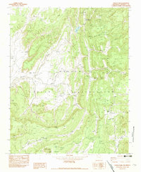 Todilto Park 1982 topographic map thumbnail
