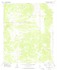 Turkey Ridge SW 1972 topographic map thumbnail