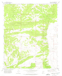 Turkey Ridge 1972 topographic map thumbnail