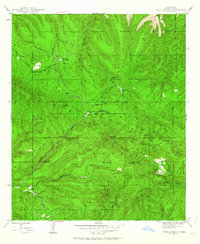 Twin Sisters 1947 topographic map thumbnail