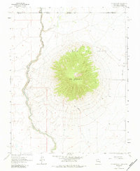 Ute Mountain 1963 topographic map thumbnail