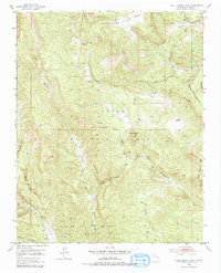Valle Grande Peak 1953 topographic map thumbnail