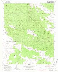 Valle Largo 1952 topographic map thumbnail