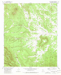 Wallace Mesa 1981 topographic map thumbnail