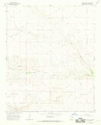 West Camp 1966 topographic map thumbnail