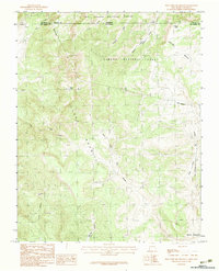 West Fork Rio Brazos 1983 topographic map thumbnail