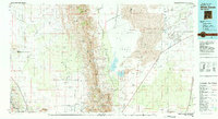 White Sands 1982 topographic map thumbnail