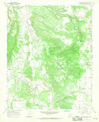 Wildhorse Mesa 1966 topographic map preview