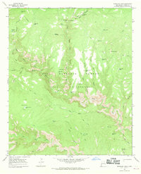 Woodland Park 1965 topographic map thumbnail