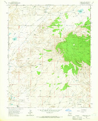 Youngs Lake 1963 topographic map thumbnail