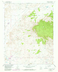Youngs Lake 1963 topographic map thumbnail