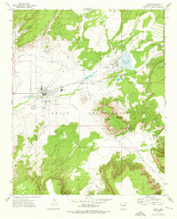 Zuni 1972 topographic map thumbnail