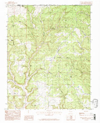 Anastacio Spring 1985 topographic map thumbnail