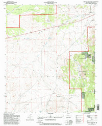 Arroyo Landavaso 1995 topographic map thumbnail