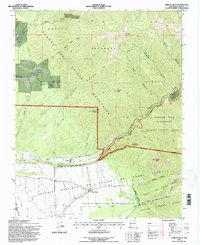 Arroyo Seco 1995 topographic map thumbnail