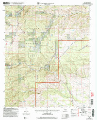 Avis 2004 topographic map thumbnail