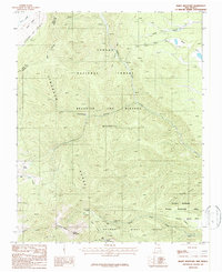 Baldy Mountain 1987 topographic map thumbnail