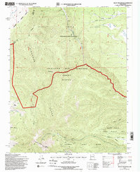 Baldy Mountain 1995 topographic map thumbnail
