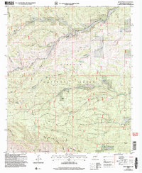 Bear Spring 2004 topographic map thumbnail