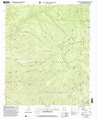 Bearwallow Mountain 1999 topographic map thumbnail