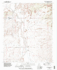 Benavidez Ranch 1990 topographic map thumbnail